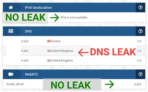 check for ip leak|DNS leak test